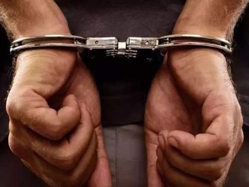 Hyderabad: Film director arrested for raping techie | Hyderabad News - Times of India