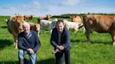 McConalogue clarifies Beef Welfare Scheme eligibility