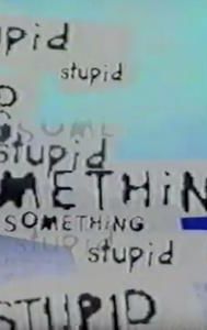 Something Stupid (TV series)