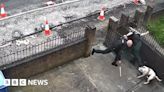 North Belfast video shows dog attacking police officer