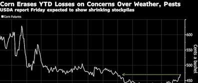 Corn Erases 2024 Losses on Concerns Over Tight Global Supplies