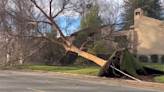 Storm brings strong winds, heavy rain and snow to Northern California