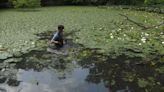 Volunteers can help clean lake at Van Cortlandt Park in the Bronx