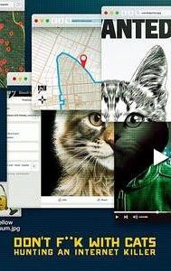 Don't F**K with Cats: Hunting An Internet Killer