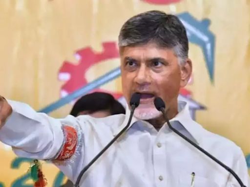 Chandrababu Naidu's Explosive Claims: How Jagan Mohan Reddy Crippled Andhra Pradesh's Power Sector