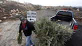 Reciclar el árbol de Navidad, mejor que tirarlo al vertedero