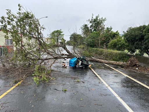 彰化郵差騎車執勤遭路樹砸死 郵局將從優撫卹、助家屬訴請國賠