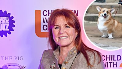 Sarah Ferguson Says Her and Queen Elizabeth's Dogs Get Along Well