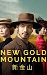 New Gold Mountain (TV series)