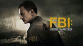 FBI: Most Wanted Season 1 Streaming: Watch & Stream Online via Peacock