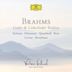 Brahms: 6. Ein kleiner, hübscher Vogel nahm den Flug [Liebeslieder-Walzer, Op.52 ]