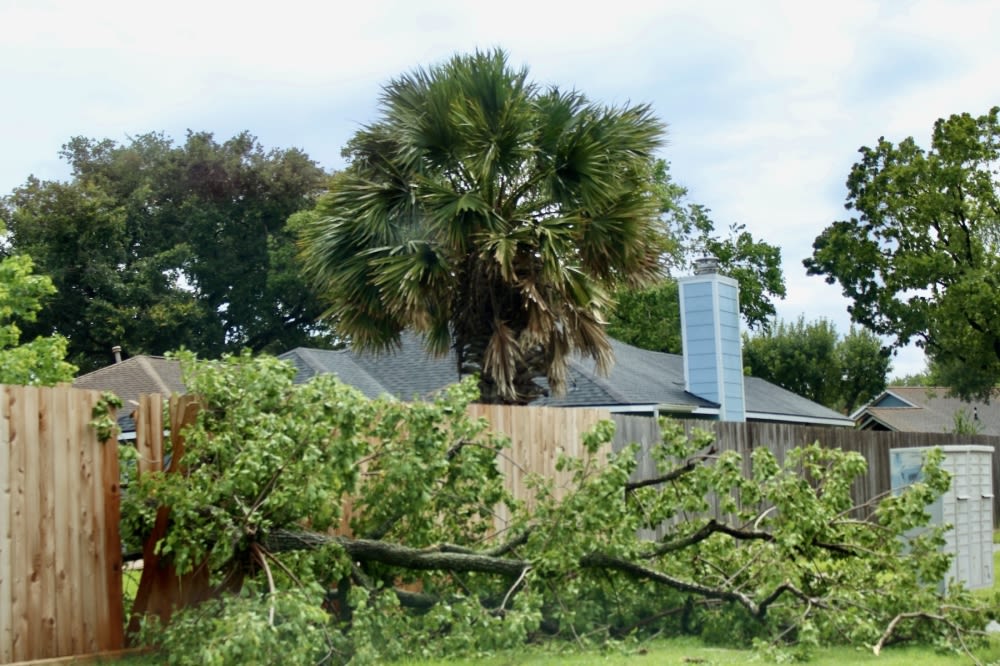 How to prepare for, when to expect debris removal after Hurricane Beryl