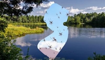 NJ mosquito season could erupt if the right weather hits
