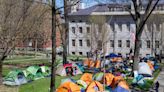 As Students Occupy Harvard Yard, Faculty Urge Against Police Response | News | The Harvard Crimson