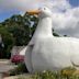 Big Duck