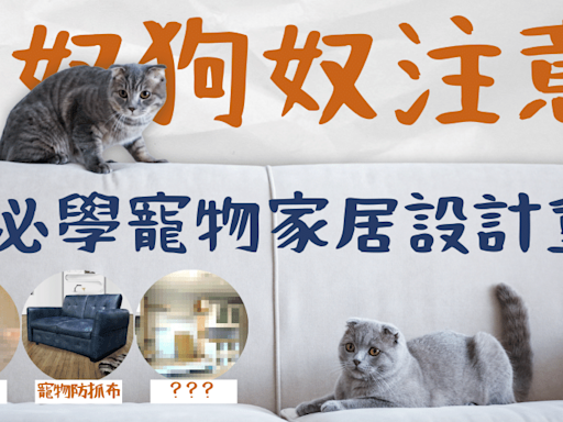 【Pet-Friendly家居設計】貓奴狗奴注意！5大必知寵物家居設計重點！