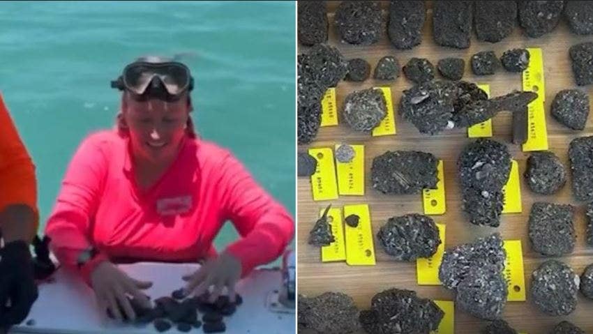 Florida treasure hunters amazed by discovery in 300-year-old shipwrecks: 'You don't expect that'