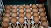 Consommation : C’est quoi cette folie soudaine autour des œufs en France ?