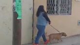 VIDEO: 'Lady Popo' rechaza recoger excremento de su perro y grita que la quieren violar