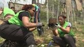 Volunteers help complete tree planting project at a Pittsburgh park