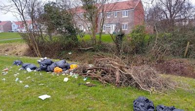 Man fined hundreds of pounds for dumping waste on green space in moment of frustration