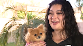 Princess the pomeranian reunited with family five years after brunch ‘kidnapping’