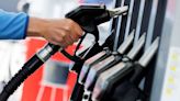 Global petrol demand to halve in 2024, analysts say