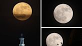 Luna de Ciervo 2024: las mejores imágenes de este evento astronómico