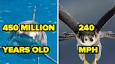 People Are Sharing Random Facts That Will Honestly Blow Your Mind