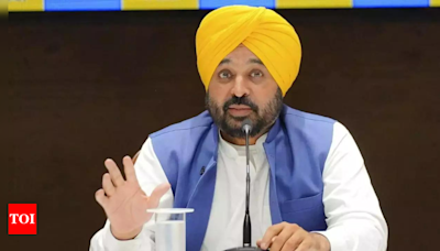 Punjab CM Bhagwant Mann Criticized for Failing to Defend State's River Water Rights | Chandigarh News - Times of India