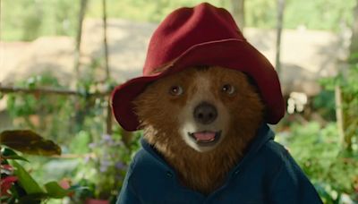 Hugh Bonneville announces Paddington UK and Ireland tour for new movie