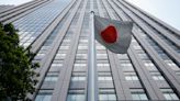 Japan establishes panel to review current accounts