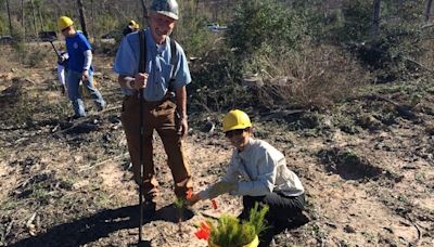 More than $100K in vehicles, tools stolen from Austin nonprofit TreeFolks