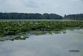 Crab Orchard National Wildlife Refuge