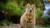 Robert Irwin Shares Exciting News About the Australia Zoo