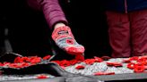 Canadians gather for Remembrance Day ceremony in Ottawa, as top soldier warns of global security threats