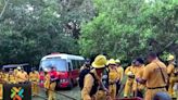 Bomberos luchan contra cinco incendios forestales | Teletica