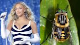 Dolly Parton, Taylor Swift, and more celebrities with species named after them