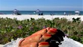 12 best restaurants near Sarasota for Florida stone crab and fresh Gulf seafood