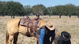 The George Ranch in Fort Bend County celebrates 200th anniversary | Houston Public Media