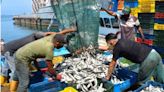 Venezuela promueve la capacitación de empresas del sector pesquero para exportar a China