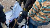 Dog Missing for 2 Months Rescued from Colo. Mountain in 'Act of Kindness' Ahead of Thanksgiving