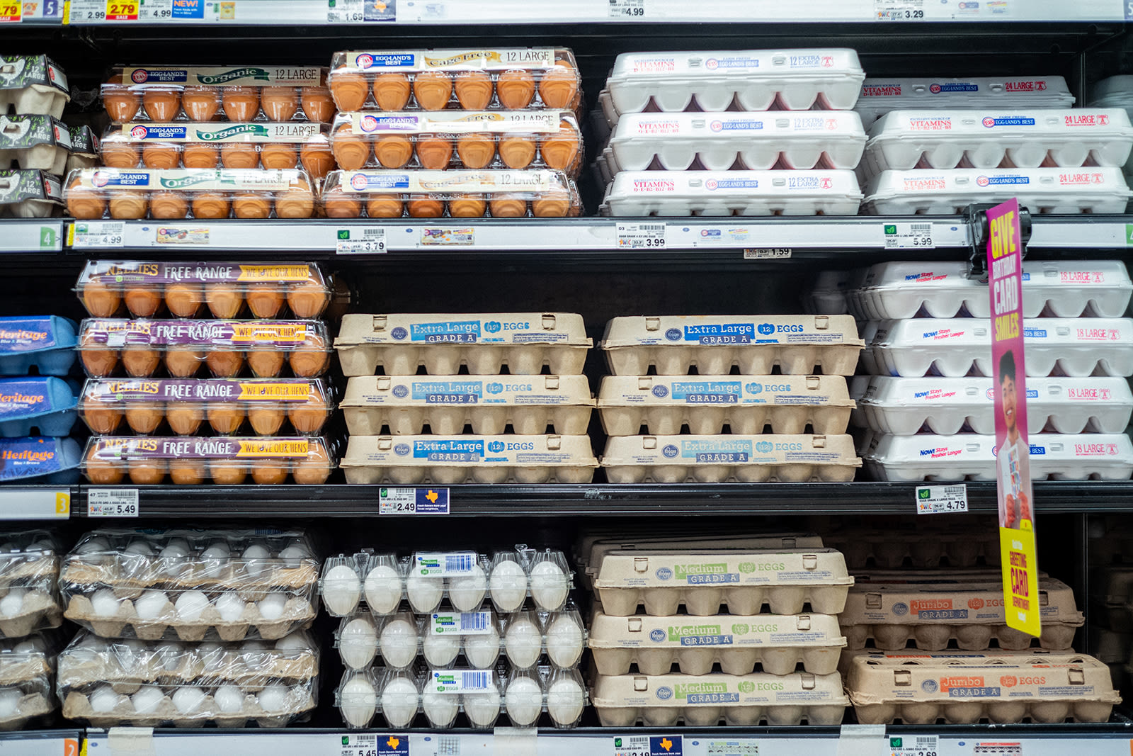 Contaminated eggs sold in Illinois recalled after causing salmonella infections