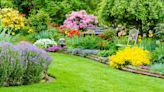 Plantas todoterreno que sobreviven al calor extremo (y también al frío)