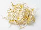 Mung bean sprout