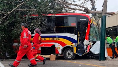 Fatal accidente en av. Brasil deja un muerto y 31 heridos: bus embistió a peatón que cruzaba la calle