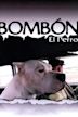 Bombón: El perro