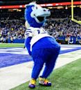 Blue (NFL mascot)