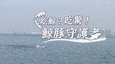 血色海洋 當海豚端上桌｜鯨豚守護者｜華視新聞雜誌