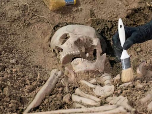 Video Of Man Interfering With Child's Skeletal Remains At Dublin Archaeological Site Causes Outrage - News18